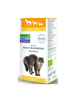 Bach Bloesem Help (Rescue) 20 ml